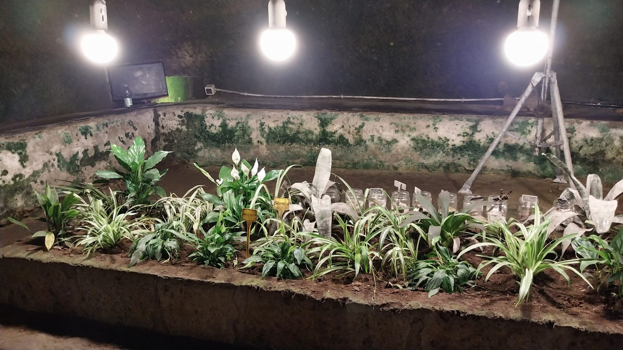 WhatsApp Image 2023-10-12 at 21.12.01 (2)