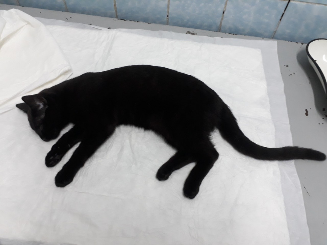 изображение_viber_2020-01-27_12-11-09