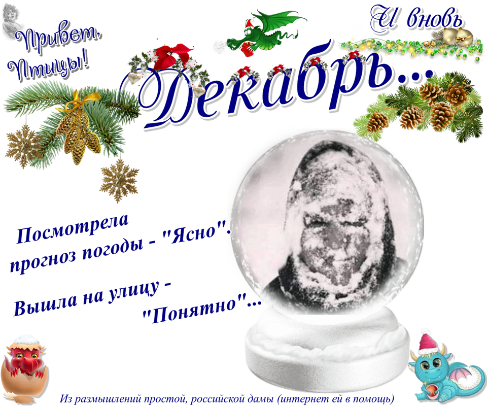 https://i.postimg.cc/rs8p4m6b/17-12.png