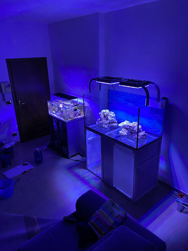 A02ADF3B-70C5-4F1E-984B-C287377AA671