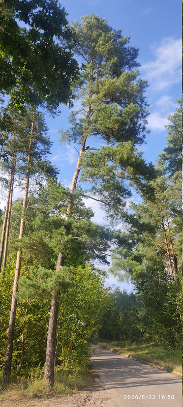 1787499151079.jpg