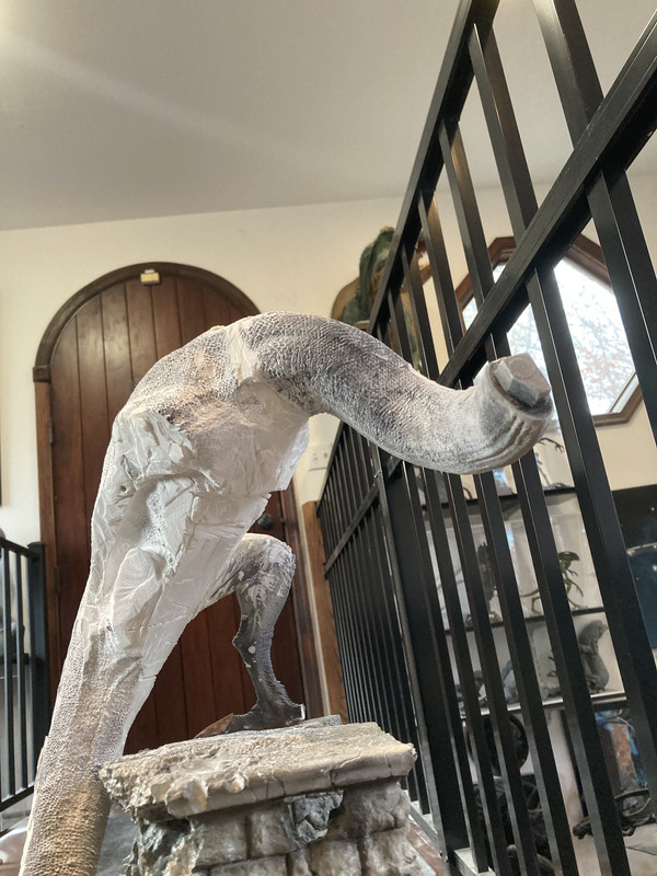 5AFC2FF2-2663-4690-9AA2-4E34A96429DF