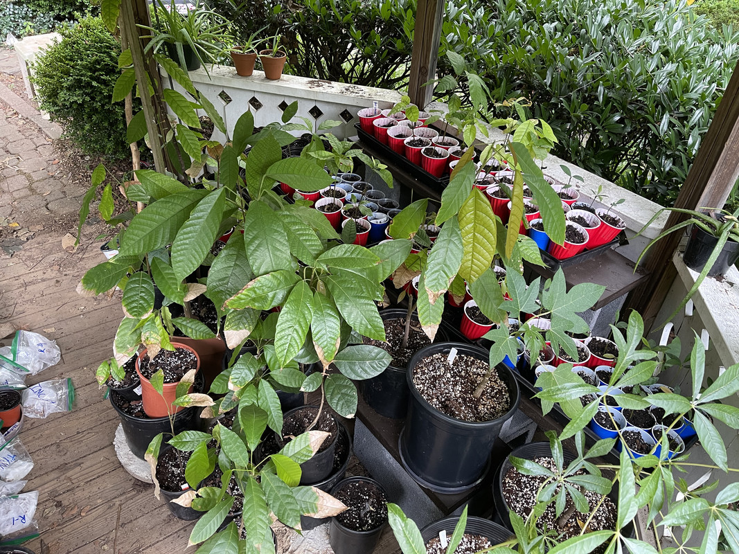 A1B5D86D-04B7-4E82-882F-D3BD20383BFD