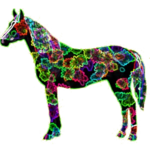 howrserc5.png