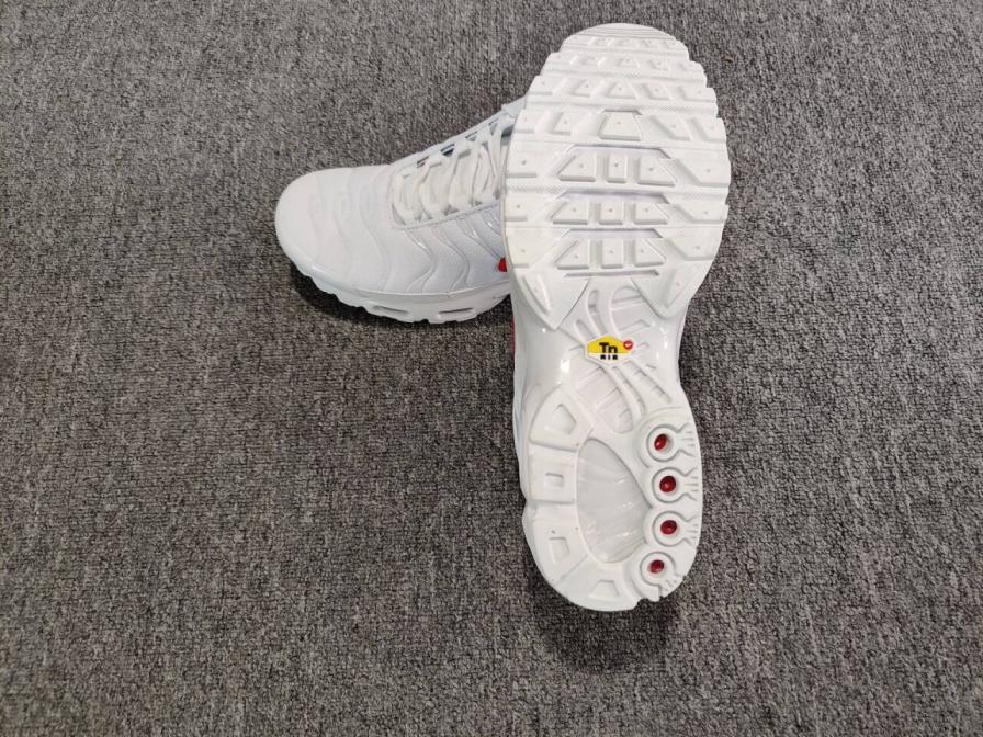 Air Max Tn Plus (All Colors)