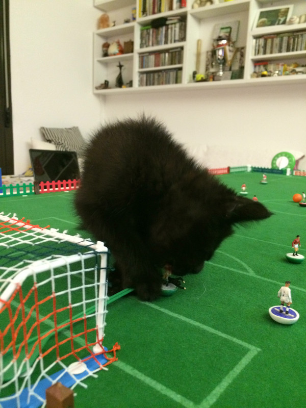 77DB2189-8D5A-43F5-A0A9-3CB37A6DF010