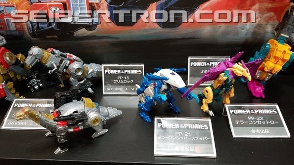 1518927929-wonderfest-potp-02