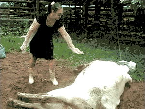 IMG-3940.gif