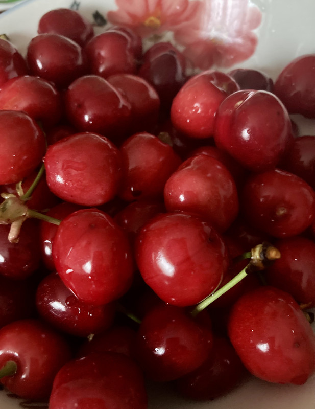 7CE74DD3-5347-4685-BD48-1246AAE85959