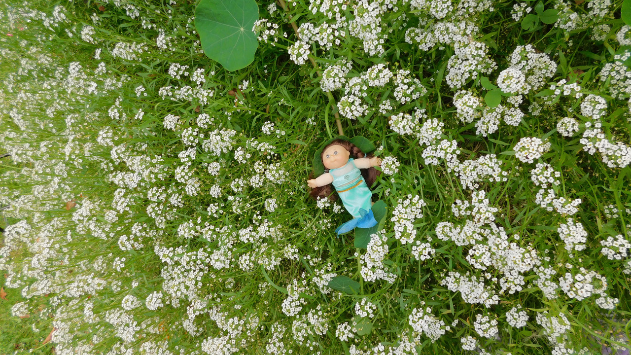 Дачное и  к Хелл сентябрь 2023 249