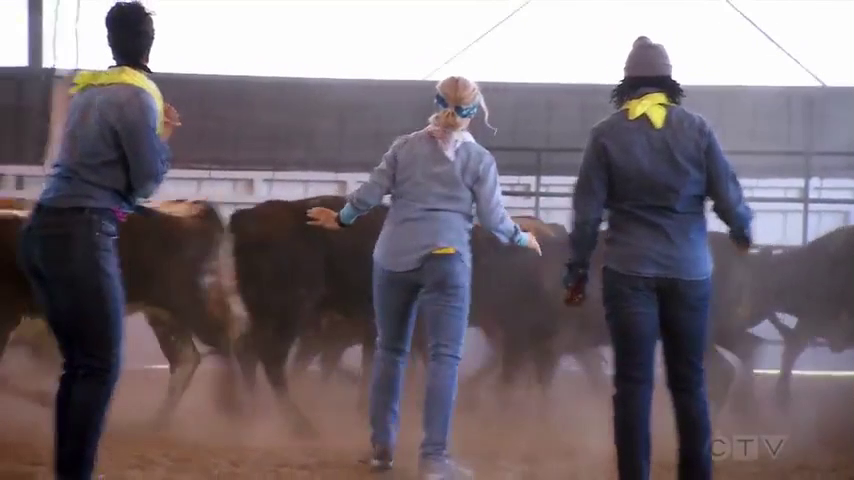 vlcsnap-2020-11-28-15h40m19s619