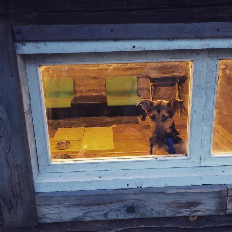 Марта малятко6