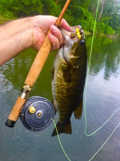 7_15_23 spillway pic 7