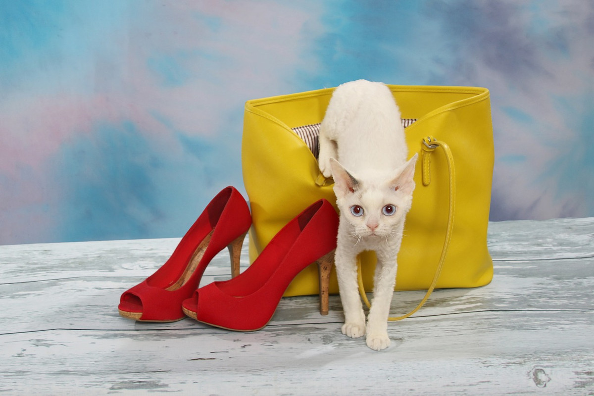 yellow-bag-new.jpg