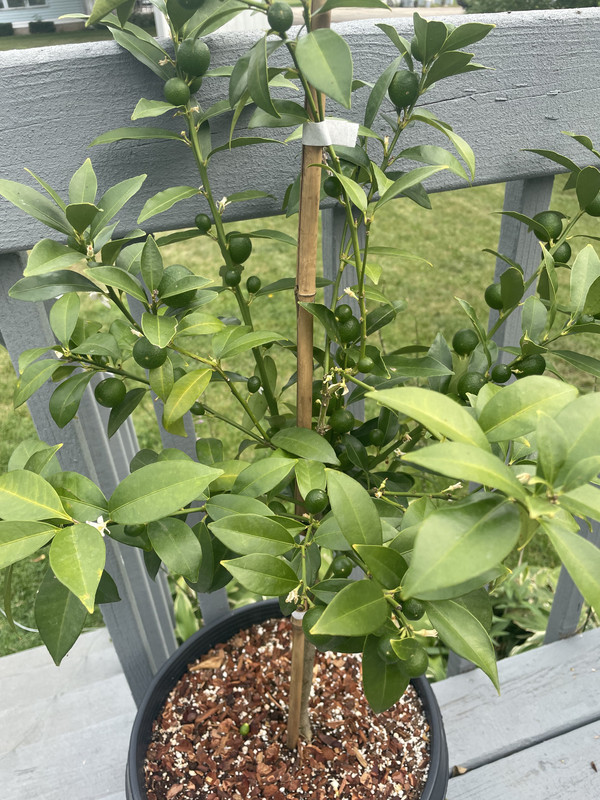 CDE9444A-BD5E-4E33-AA00-2EAAFEB9ABBE