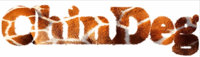 97DFRLmdBV0 (1)