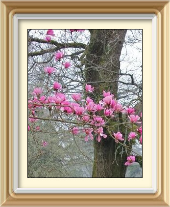 imageedit-18-9706052969