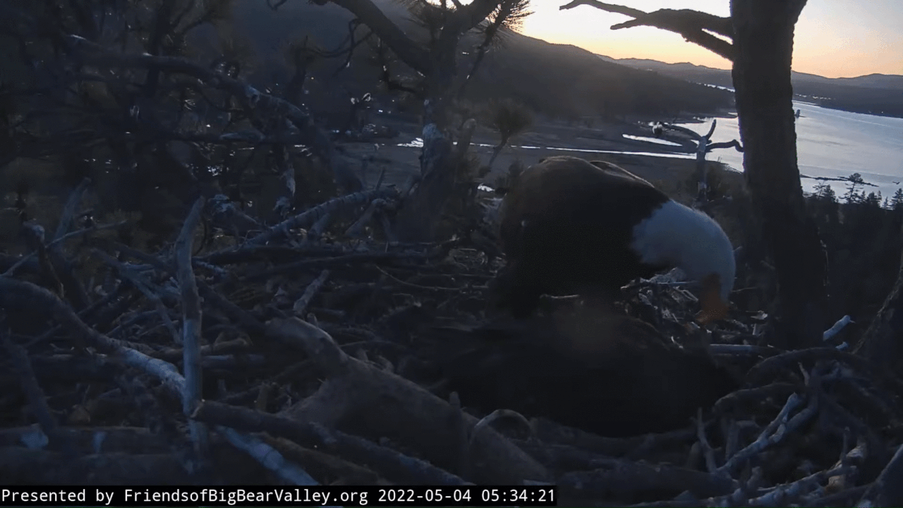 Webp.net-gifmaker (6)