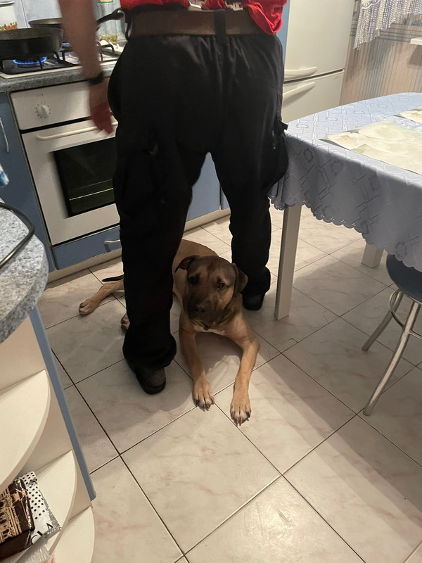 BF4886AD-3295-4244-B6CA-A5F7DC77EA2E