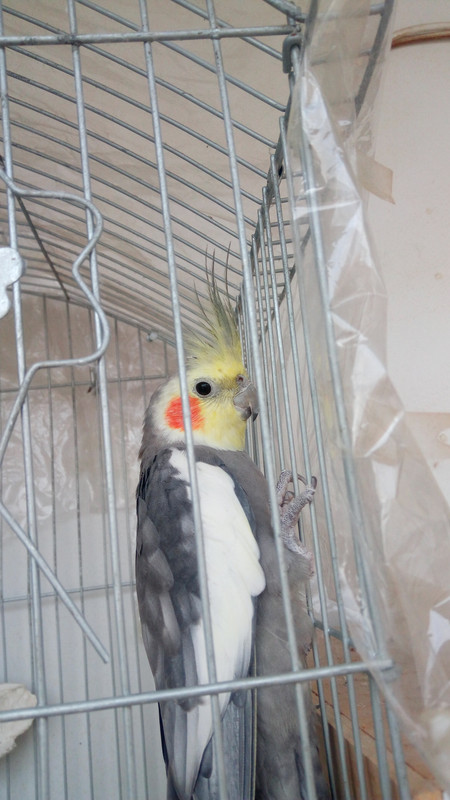 IMG_٢٠١٩١٢٢٨_١٦٣١٥٩