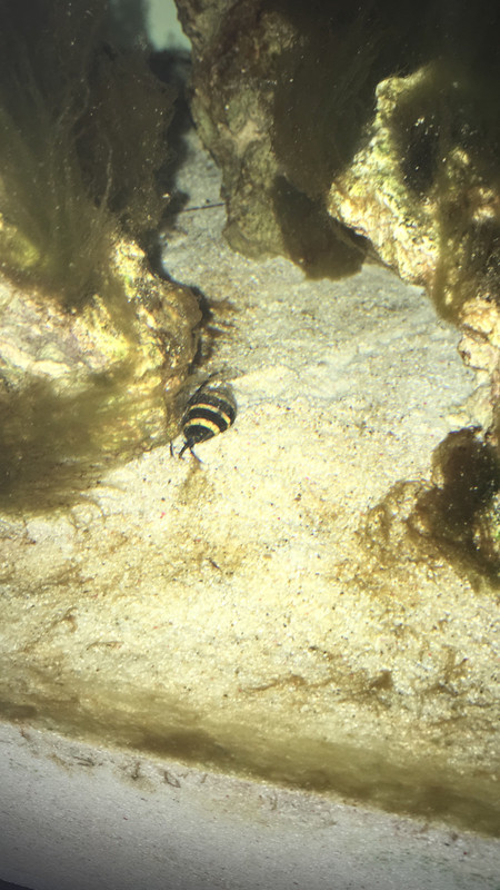 D605E7EB-8746-42C6-AE3C-A529D0FF21C3