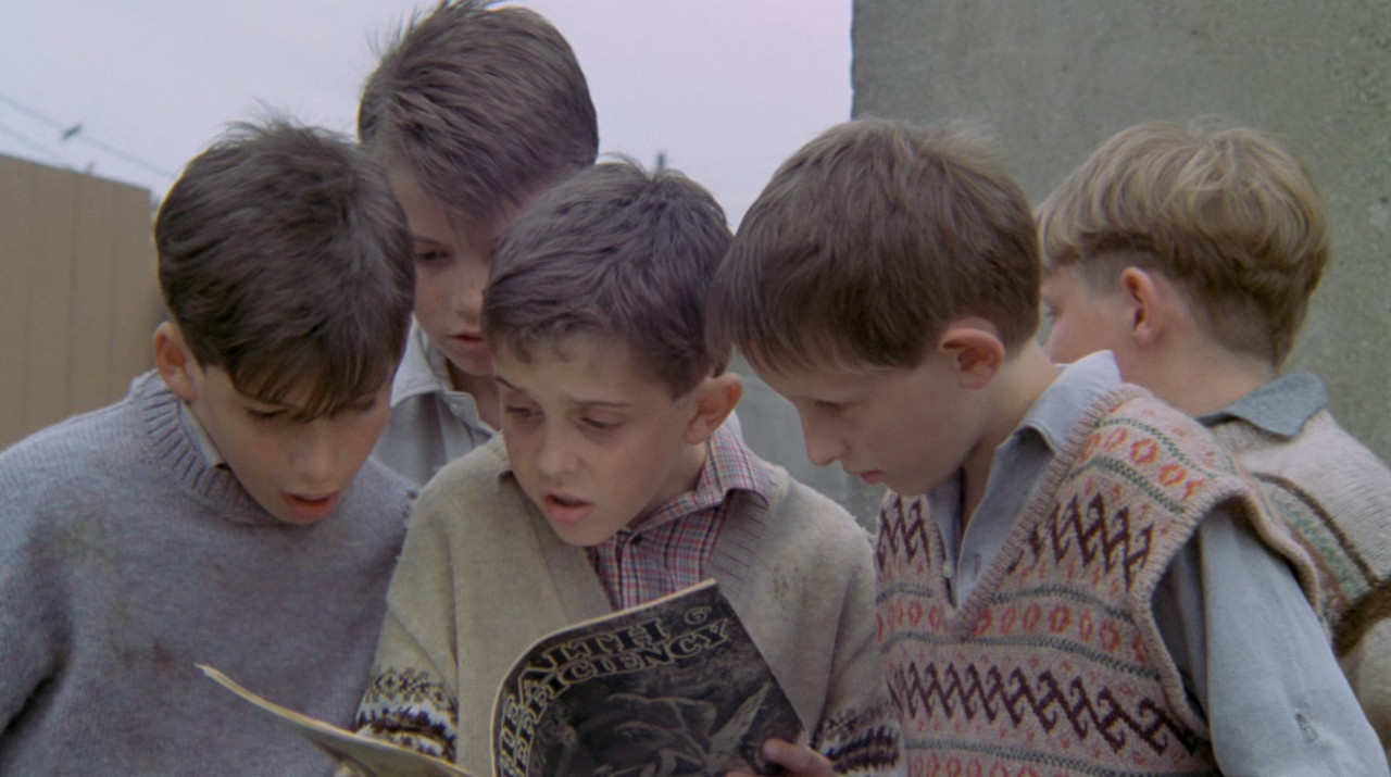 My Left Foot - The Story of Christy Brown (1989) (1080p BDRip x265 10bit DTS-HD MA 5.1 - HxD) [TAoE]