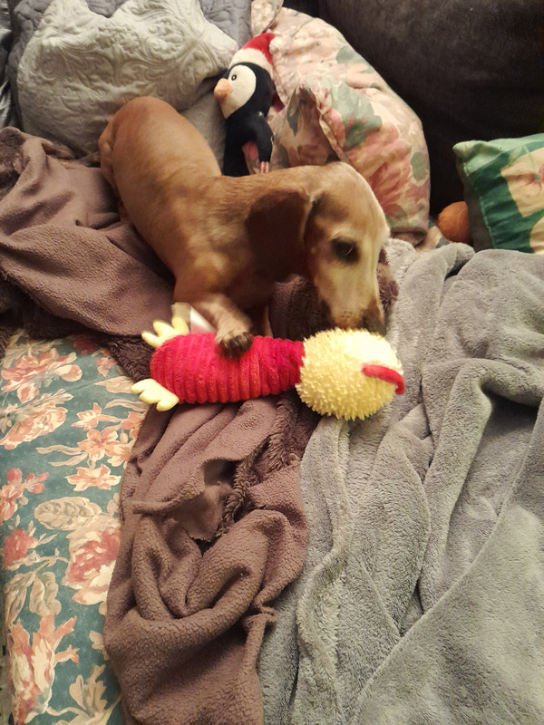 [Image: 20240320-223410.jpg]