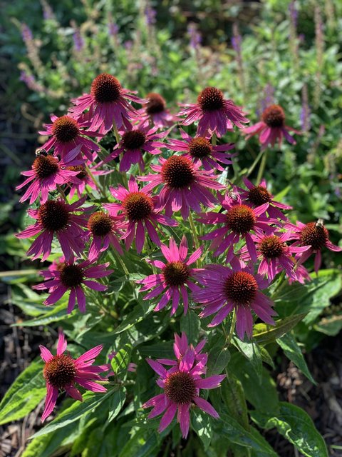 [Image: IMG-6482.jpg]