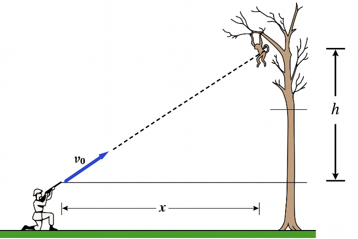 Đề thi HSG Vật lý 12 mới nhất theo hướng ứng dụng thực tế - Vận dụng Chuyển động ném vào thực tế Bắn tên gây mê