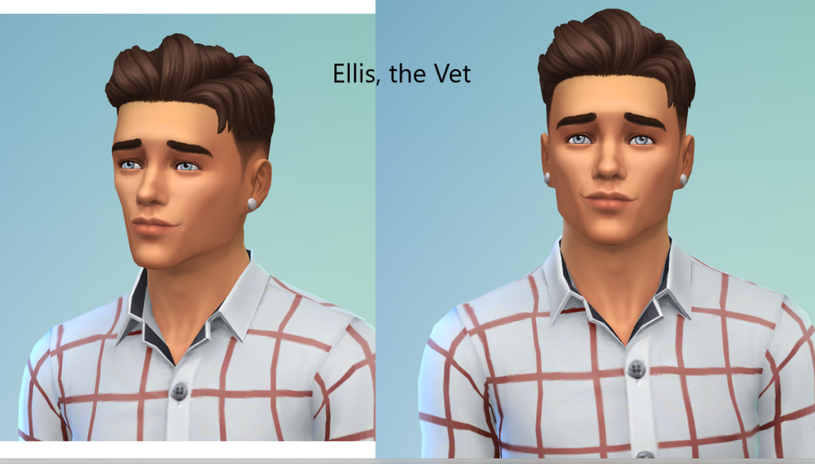 The-Vet.png