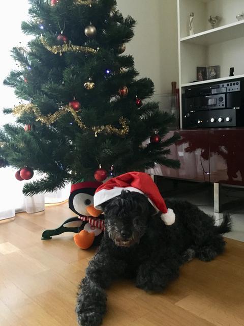 D945-FE17-F0-DC-49-A8-BA65-8-B3061-CBB91