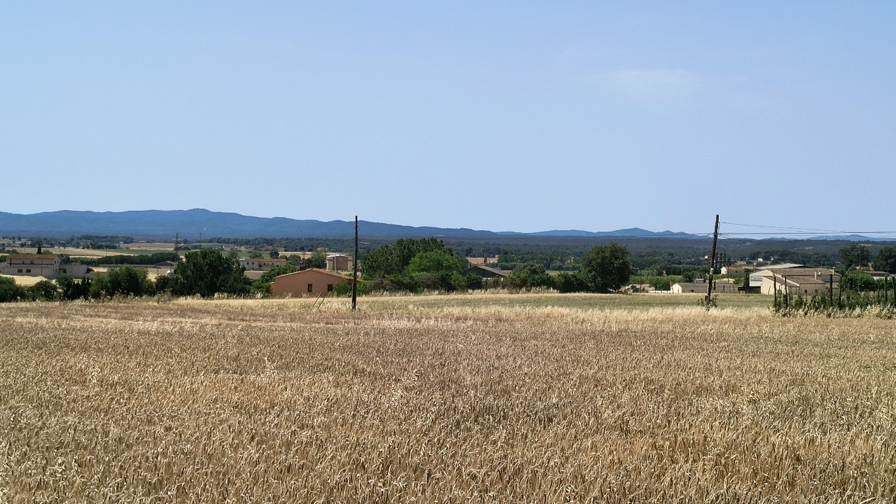IMG 20260621 120742041