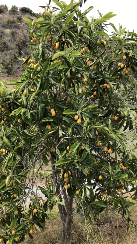 EF0C8E37-BF1D-4F4E-828D-B2448CEAB250