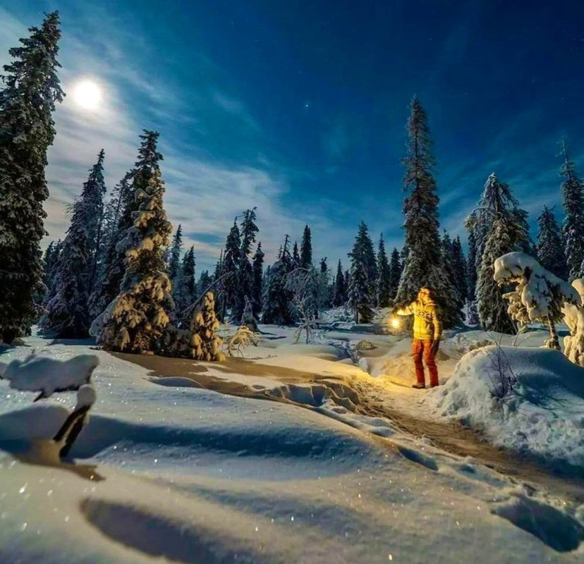 Screenshot_20231108_212023_Instagram