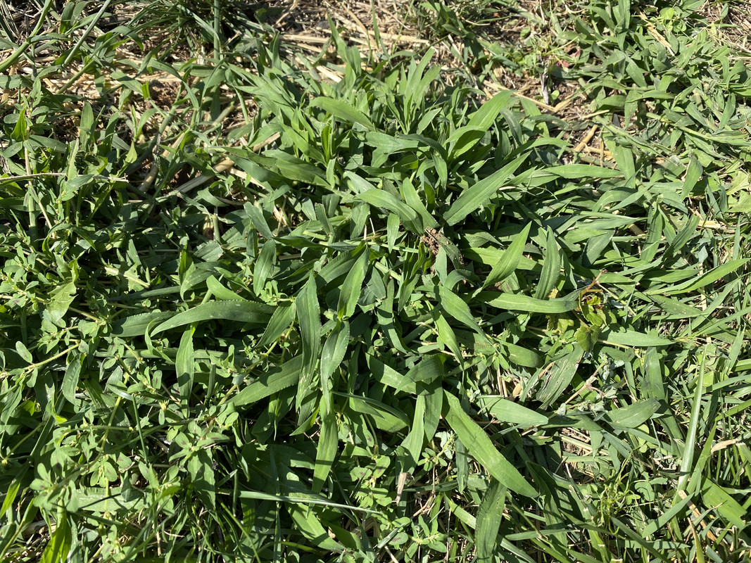 ADA2561F-14A5-4ED7-95BE-3A3A2CE773B1