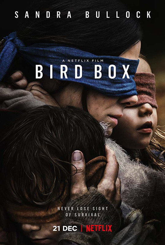 Bird Box (2018) English WEB-DL x264 700MB ESub Download