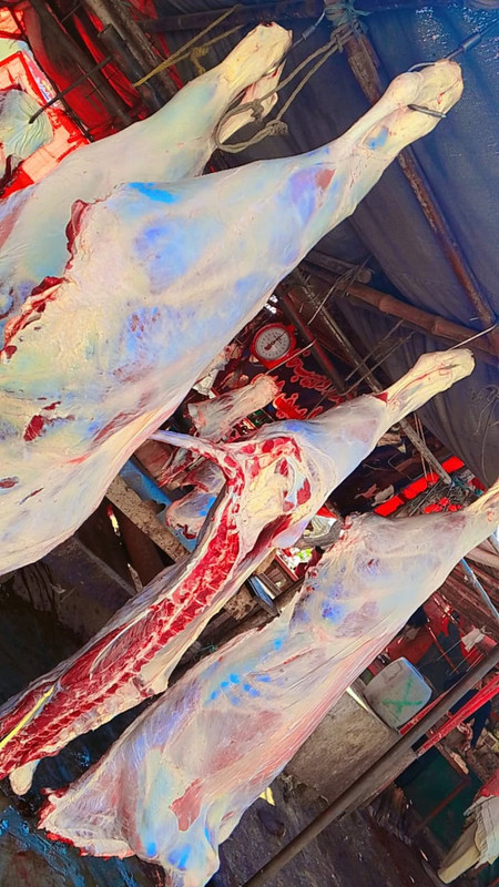 Whole Veal Carcass (Bachiya Whole)