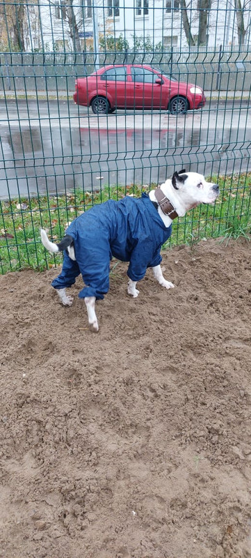 8CF99103-9072-4193-8585-A014146B8866