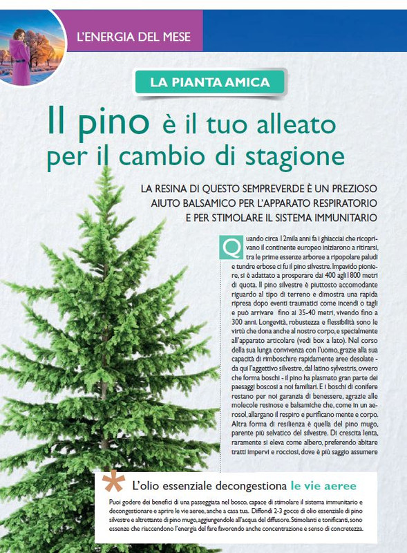 Sal Nat Dic 2024 (3)