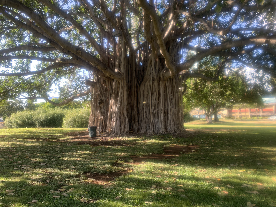 0506C778-4289-41BF-820D-0A9F9982B337