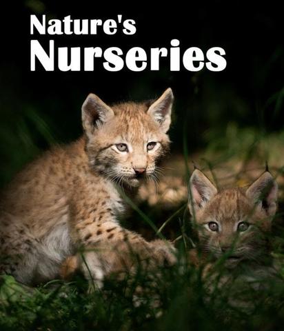 [Kép: Nature-s-Nurseries.jpg]