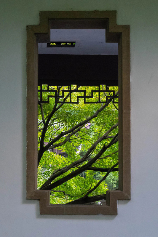 Wealth & Prosperity Window