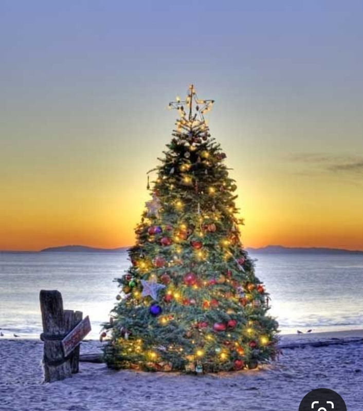 Screenshot_20230910_120858_Pinterest