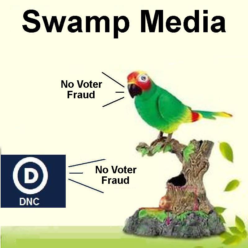 Parrot-SM Voter Fraud