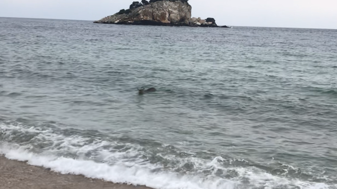 F9E5ACA3-3984-4D0A-A89E-B56166336B90