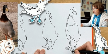 Line Drawing: A Three-Step Approach (And a Five-Day Birdacious Bootcamp)