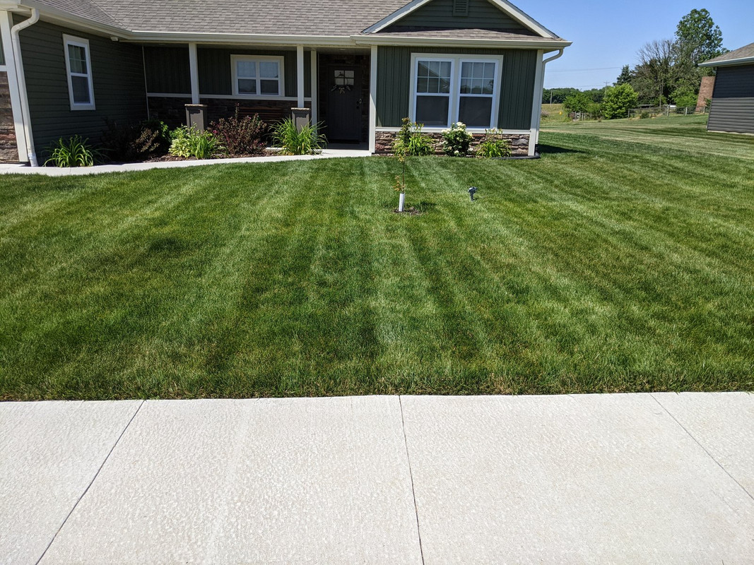 PXL_20210616_194525515