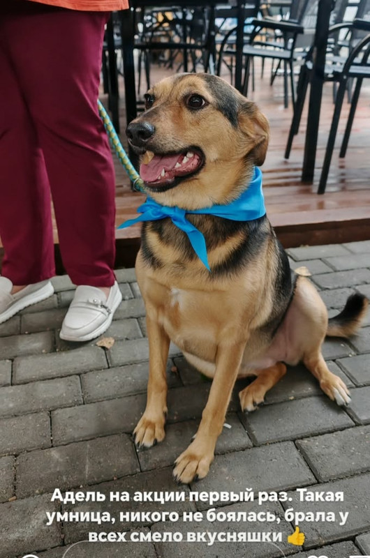 IyuThzpbzN3LlTZgfizRAxnxKiAUPFTAVaoUrDYvEskZVJOaVt1v7_ffilQl2QJ1Xpff5ApMRSNzA4b64FAD-uoY