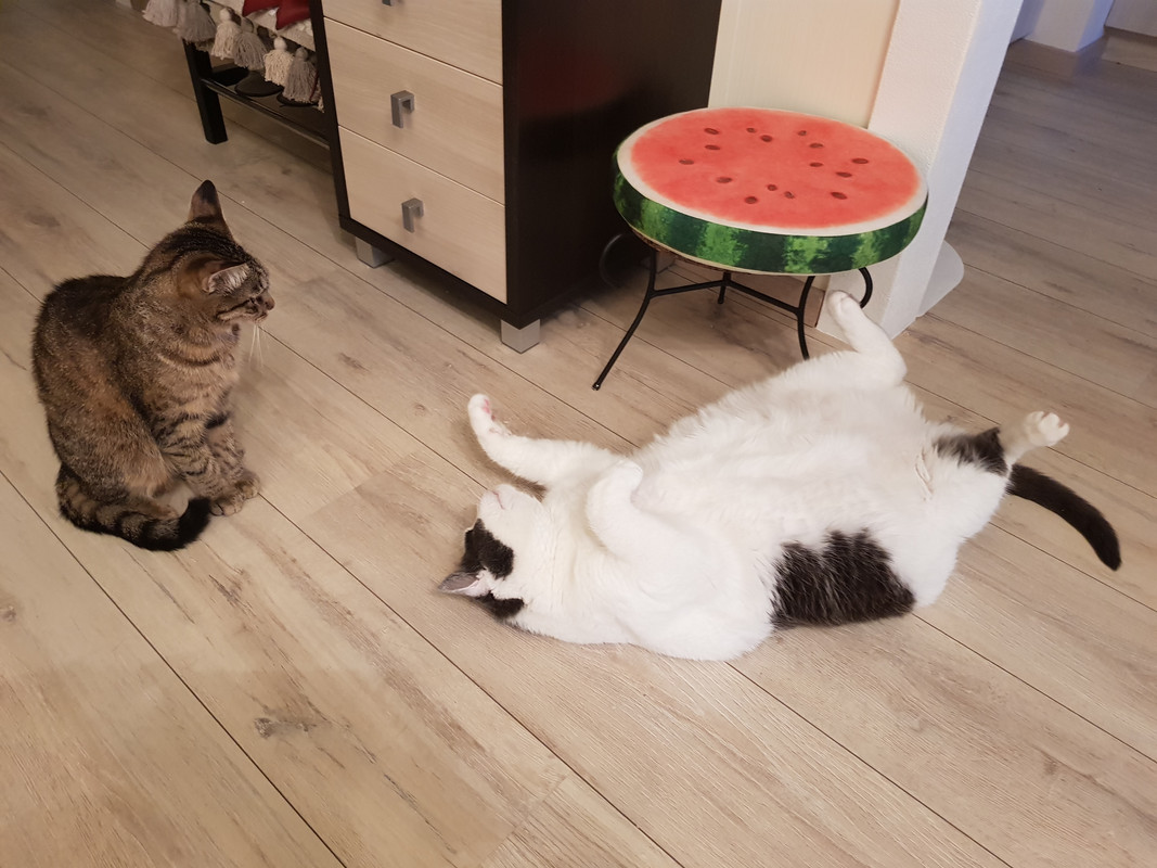 20190523-212943.jpg