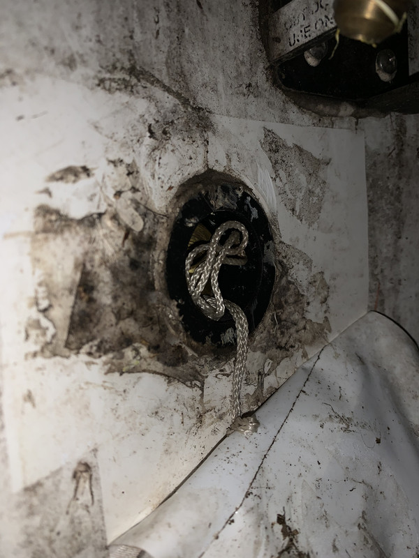 62E482D9-4CFC-46F9-BAD7-FC196777A786